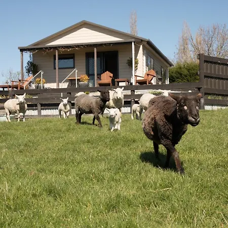 Shearvue Farmstay With Optional Free Farm Experience At 5Pm Fairlie Exterior photo