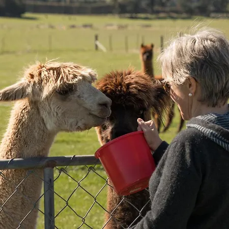 Shearvue Farmstay With Optional Free Farm Experience At 5Pm Fairlie Exterior photo