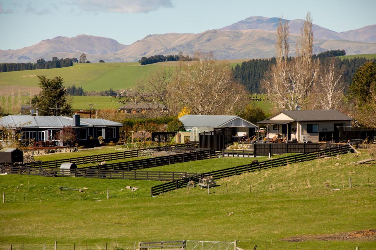 Shearvue With Optional Free Farm Experience At 5pm *