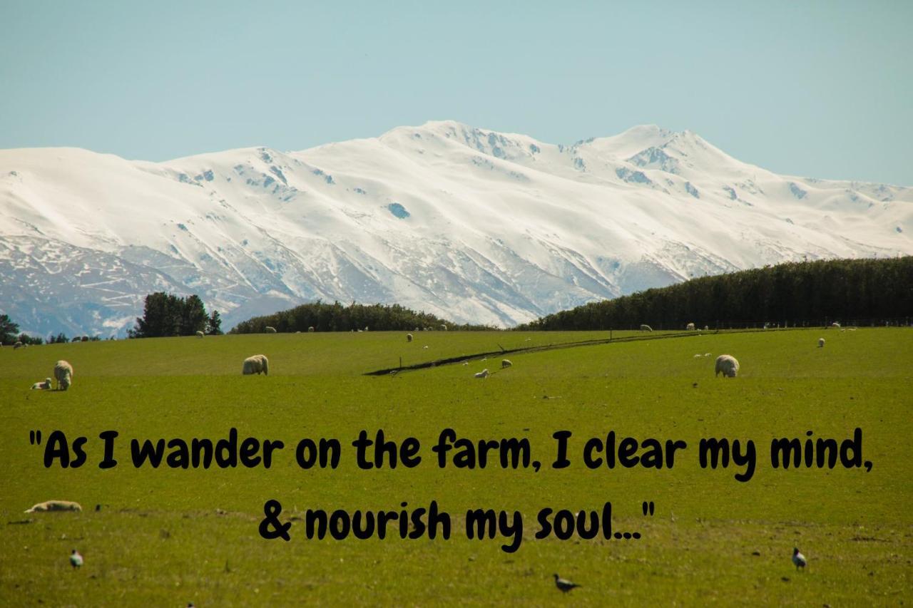 Shearvue With Optional Free Farm Experience At 5pm Holiday home *