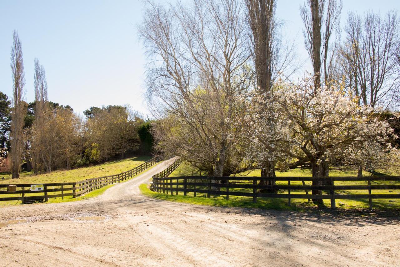 Shearvue With Optional Free Farm Experience At 5pm Holiday home