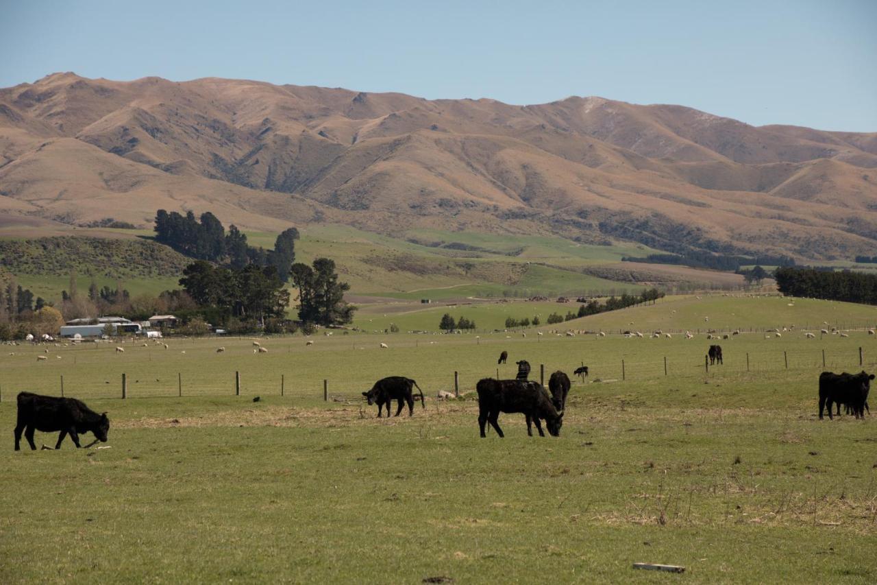 Shearvue With Optional Free Farm Experience At 5pm Holiday home Fairlie